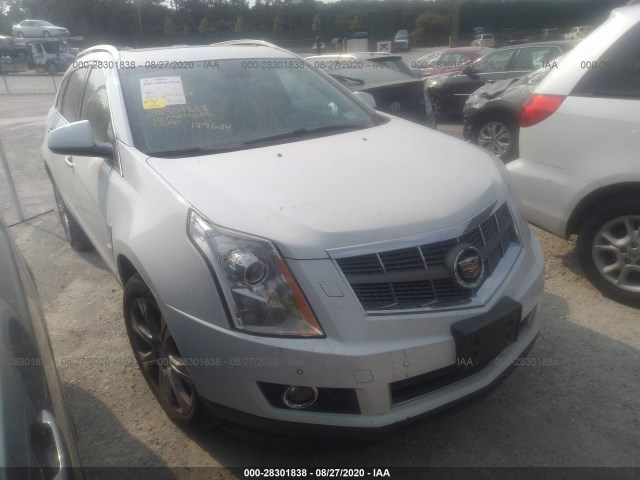 CADILLAC SRX 2010 3gyfnfey1as560420