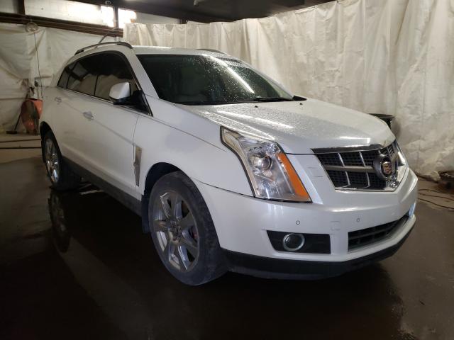 CADILLAC SRX PREMIU 2010 3gyfnfey2as539639