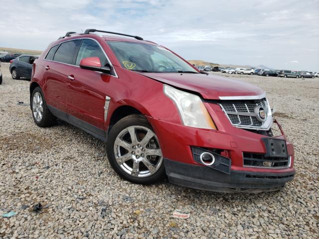 CADILLAC SRX PREMIU 2011 3gyfnfey2bs640603