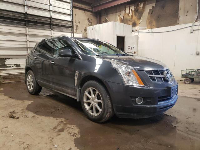 CADILLAC SRX PREMIU 2010 3gyfnfey3as560080