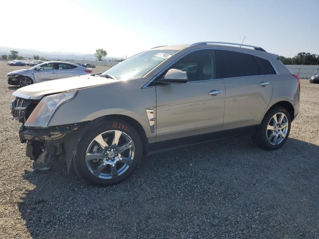 CADILLAC SRX PREMIU 2011 3gyfnfey3bs636284