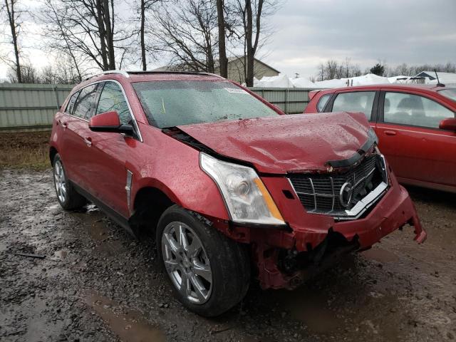 CADILLAC SRX PREMIU 2010 3gyfnfey4as541327