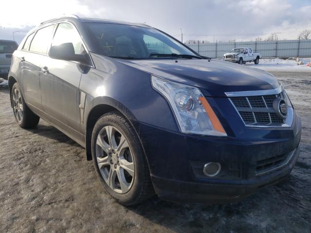 CADILLAC SRX PREMIU 2010 3gyfnfey4as608783