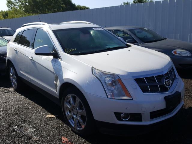 CADILLAC SRX PREMIU 2010 3gyfnfey4as643601