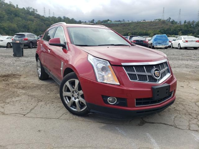 CADILLAC SRX PREMIU 2010 3gyfnfey4as651245