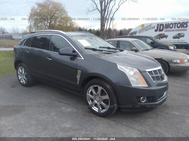 CADILLAC SRX 2010 3gyfnfey7as584687