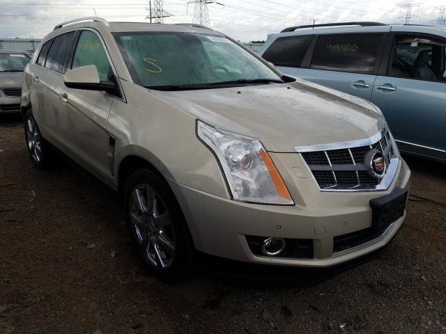 CADILLAC SRX PREMIU 2010 3gyfnfey7as613606