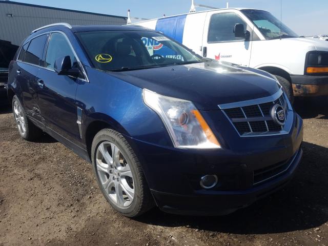 CADILLAC SRX PREMIU 2010 3gyfnfey8as638403