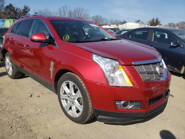 CADILLAC SRX PREMIU 2011 3gyfnfey8bs506243