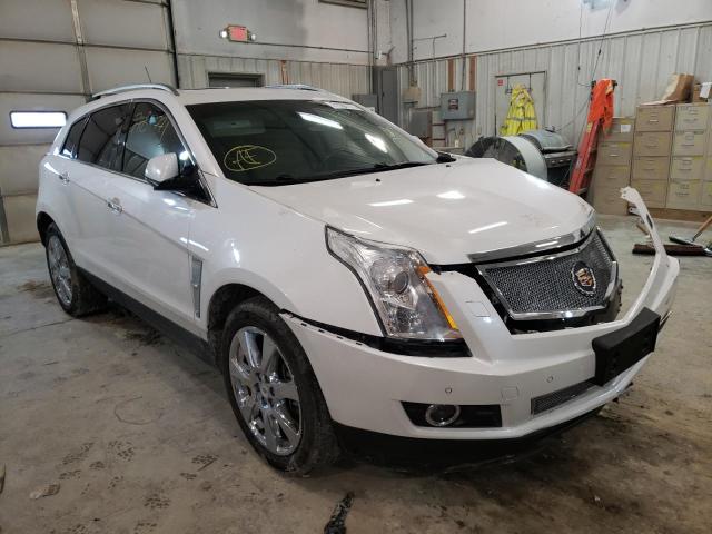 CADILLAC SRX PREMIU 2011 3gyfnfey8bs540764