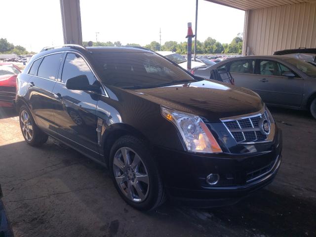 CADILLAC SRX PREMIU 2011 3gyfnfey8bs540893