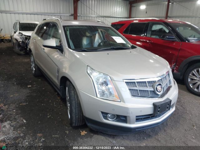 CADILLAC SRX 2010 3gyfnfey9as541971