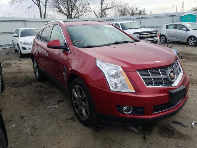 CADILLAC SRX PREMIU 2010 3gyfnfeyxas503116