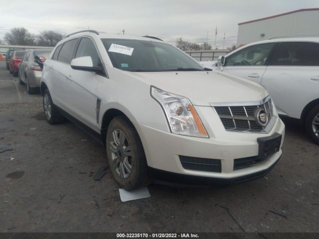 CADILLAC SRX 2010 3gyfngey0as578848