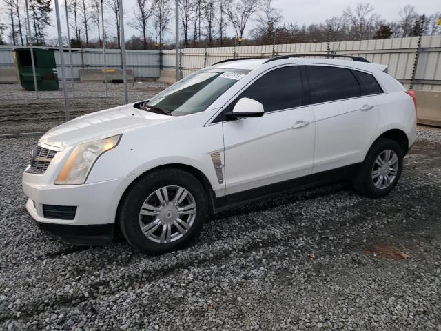 CADILLAC SRX 2010 3gyfngey1as654514