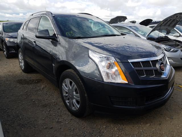 CADILLAC SRX 2011 3gyfngey1bs617044