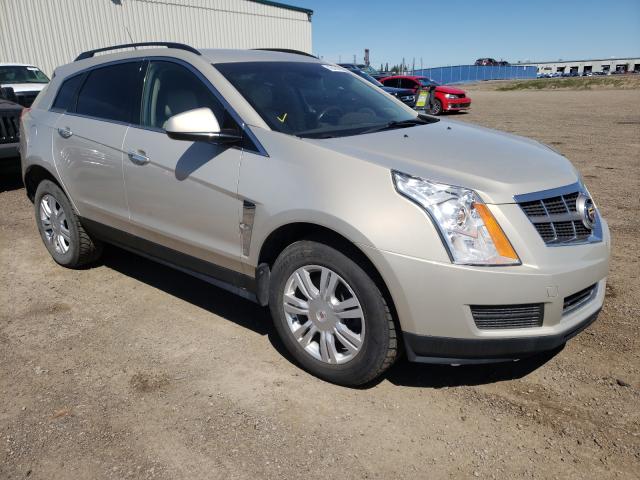 CADILLAC SRX 2010 3gyfngey2as659060