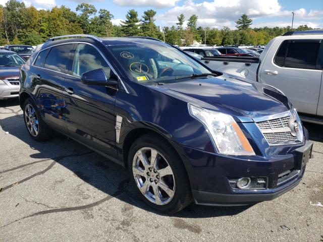 CADILLAC SRX PERFOR 2010 3gyfnje43as553971