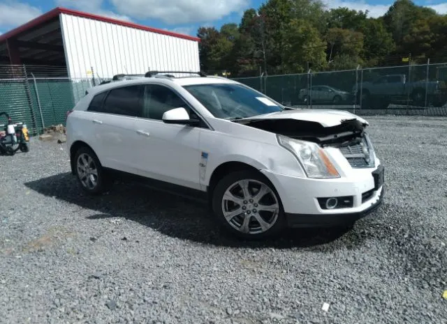 CADILLAC SRX 2010 3gyfnje44as553218