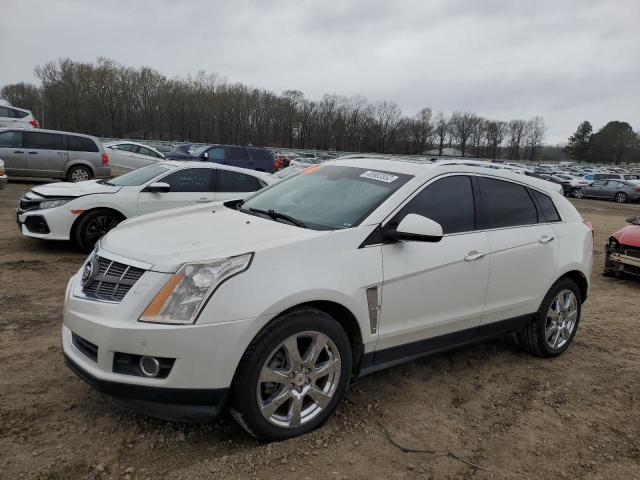 CADILLAC SRX PERFOR 2010 3gyfnje48as554128