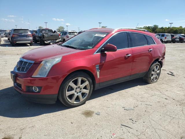 CADILLAC SRX PERFOR 2010 3gyfnje49as572220