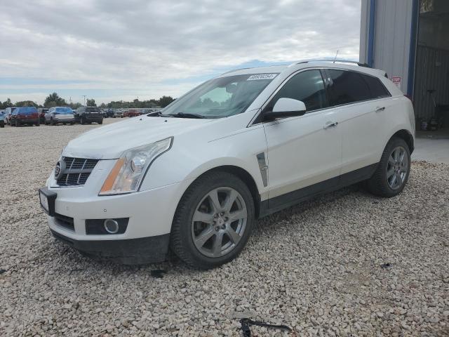 CADILLAC SRX PREMIU 2010 3gyfnke47as574103