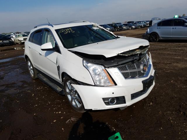 CADILLAC SRX PREMIU 2011 3gyfnke60bs508916