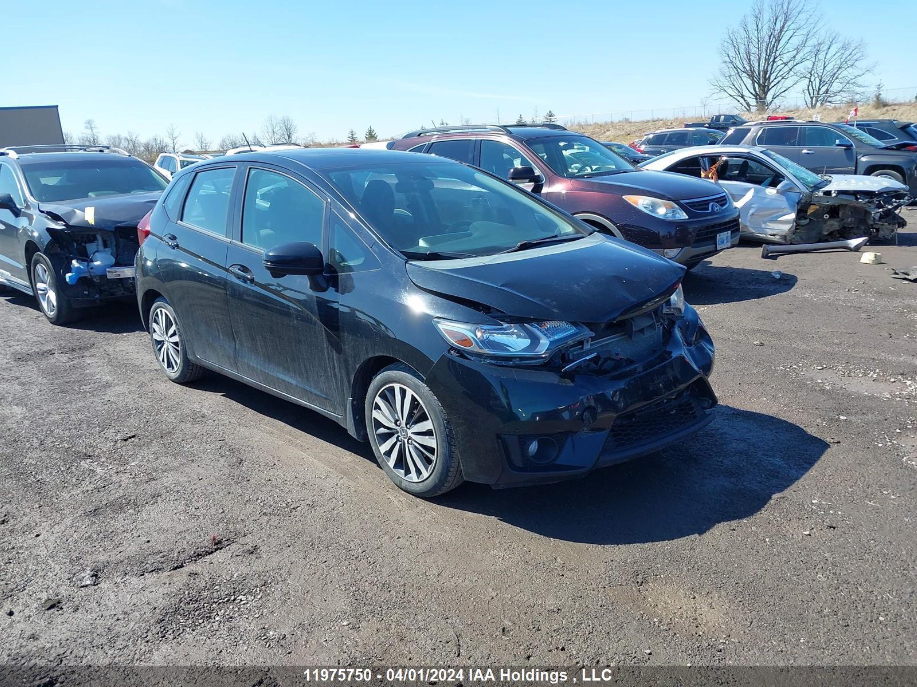 HONDA FIT 2015 3hggk5h89fm107233