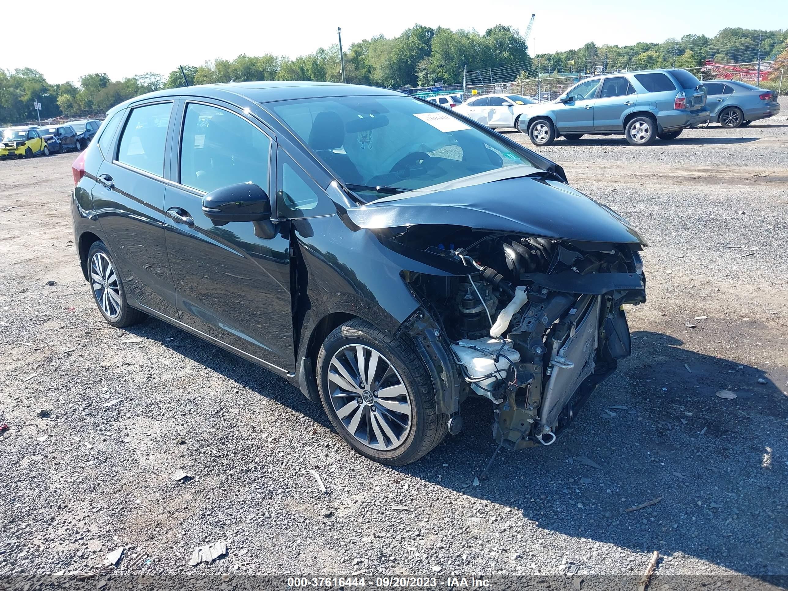 HONDA FIT 2015 3hggk5h89fm725071