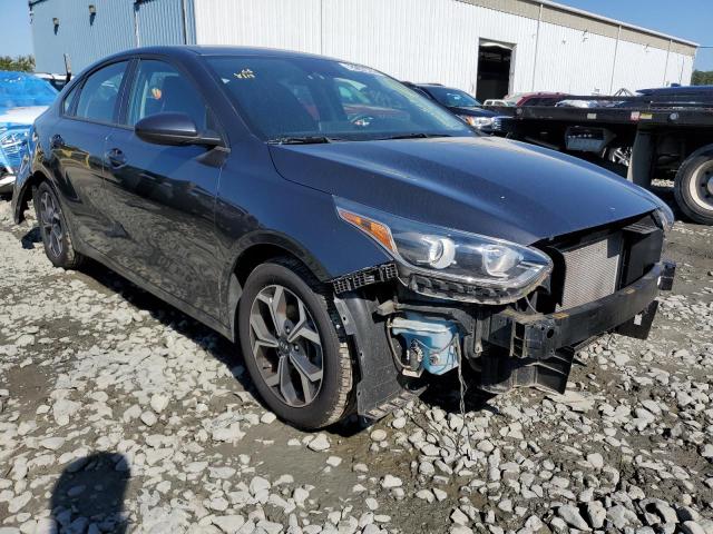 KIA FORTE FE 2019 3kpf24ad0ke042496