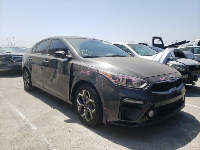 KIA FORTE FE 2019 3kpf24ad0ke056978