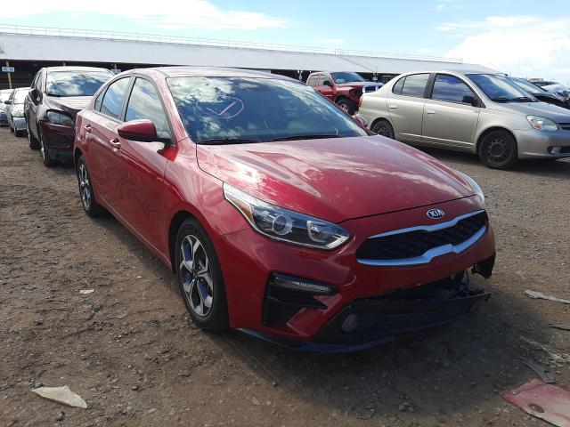 KIA FORTE FE 2019 3kpf24ad0ke077152