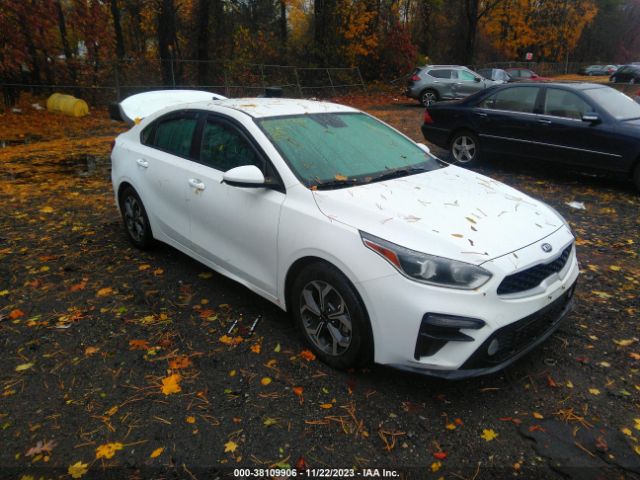 KIA FORTE 2019 3kpf24ad0ke081122