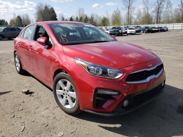 KIA FORTE FE 2019 3kpf24ad0ke108822