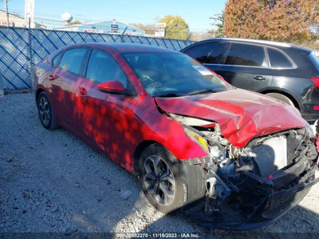 KIA FORTE 2019 3kpf24ad0ke114796