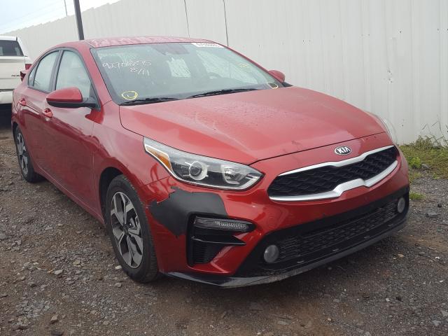 KIA FORTE FE 2019 3kpf24ad0ke115866