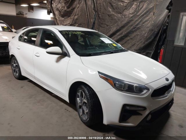 KIA FORTE 2019 3kpf24ad0ke125474