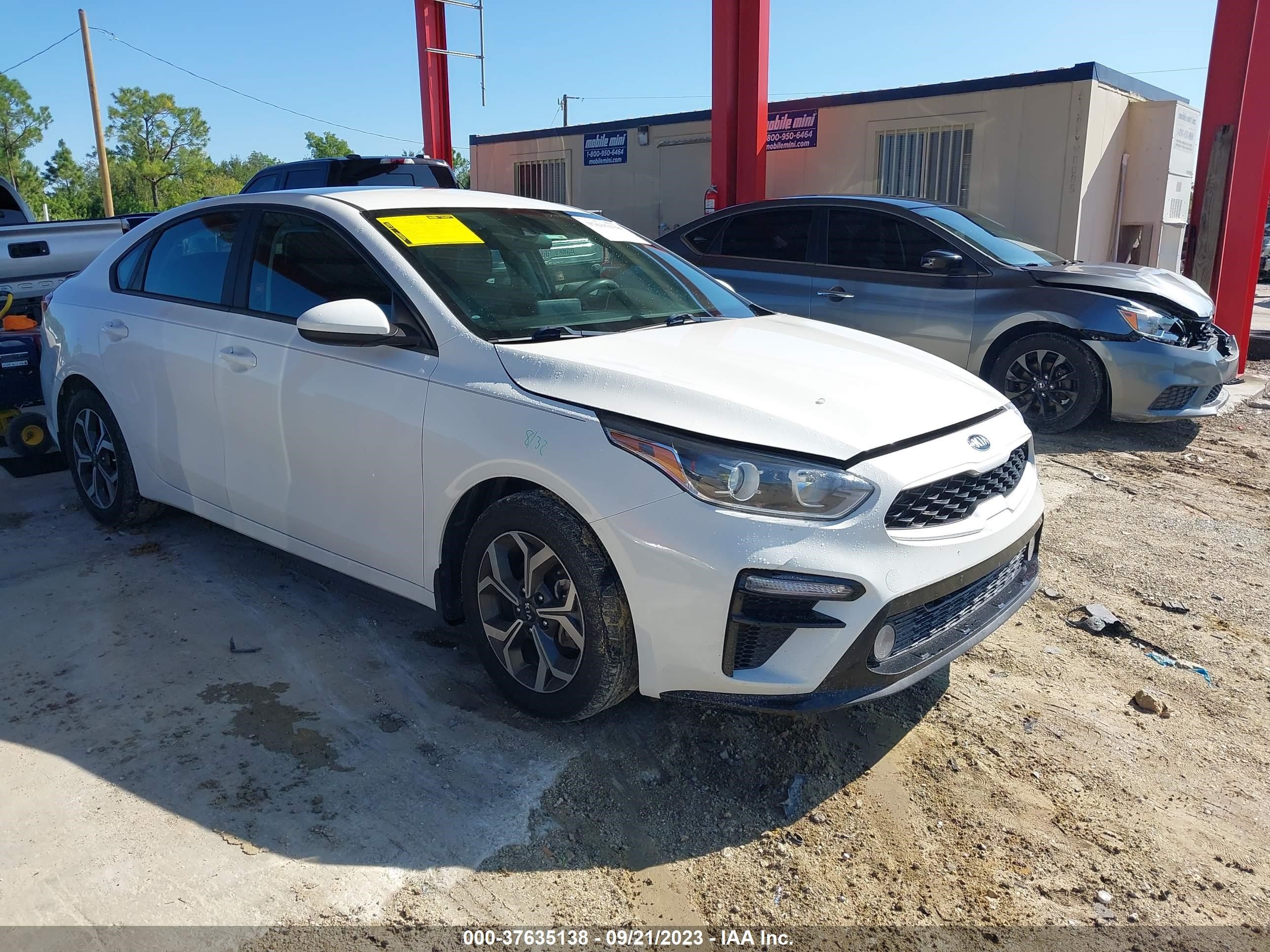 KIA FORTE 2019 3kpf24ad0ke127872