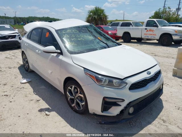 KIA FORTE 2019 3kpf24ad0ke128679