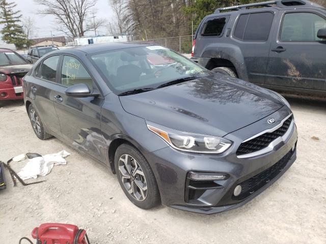 KIA FORTE FE 2019 3kpf24ad1ke006140