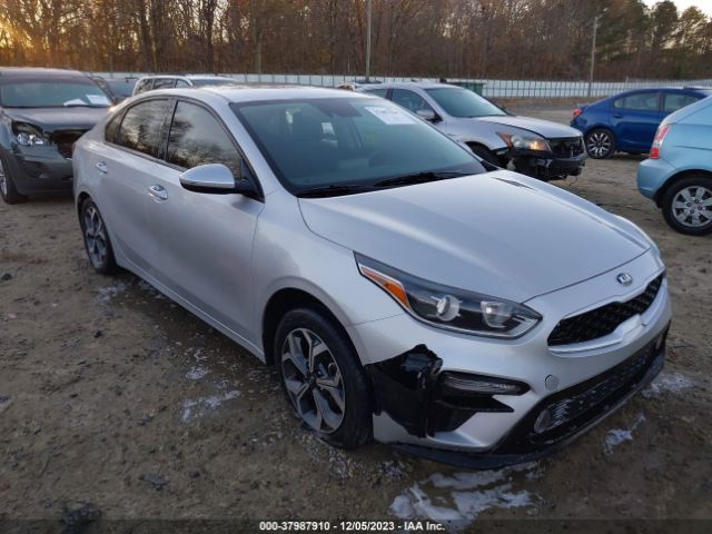 KIA FORTE 2019 3kpf24ad1ke008003