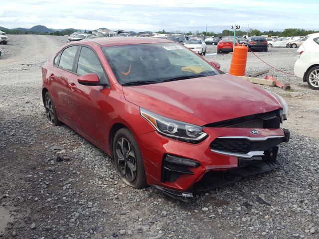 KIA FORTE FE 2019 3kpf24ad1ke014187