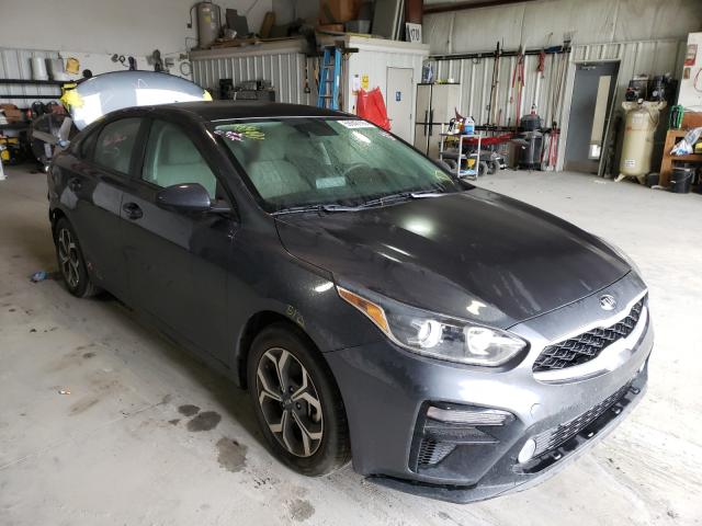 KIA FORTE FE 2019 3kpf24ad1ke019650