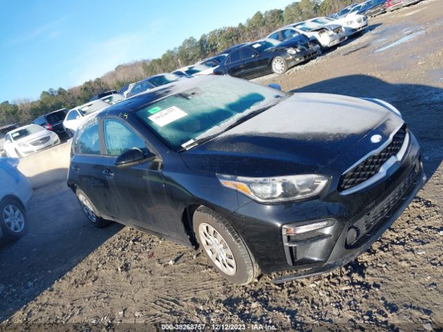 KIA FORTE 2019 3kpf24ad1ke027215