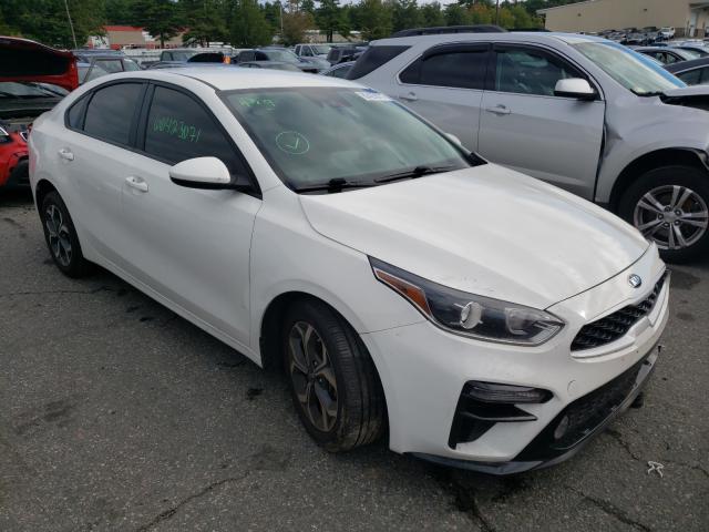 KIA FORTE FE 2019 3kpf24ad1ke031166