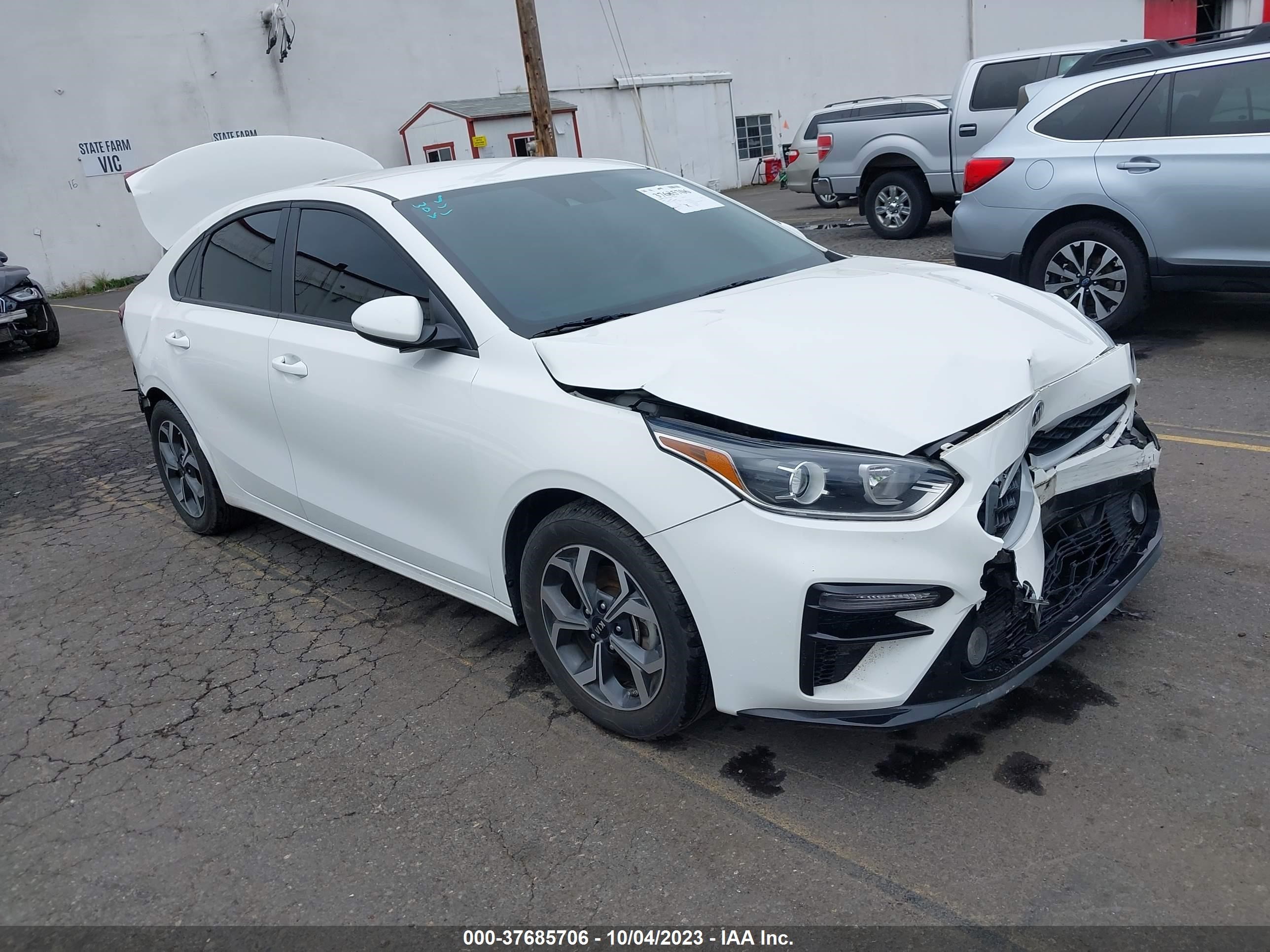 KIA FORTE 2019 3kpf24ad1ke040806