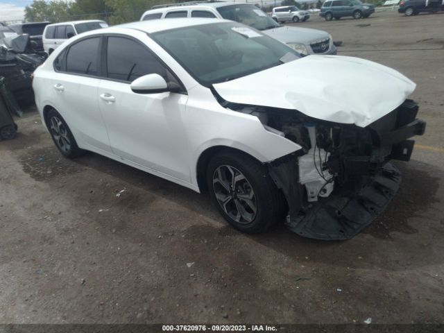 KIA FORTE 2019 3kpf24ad1ke043558