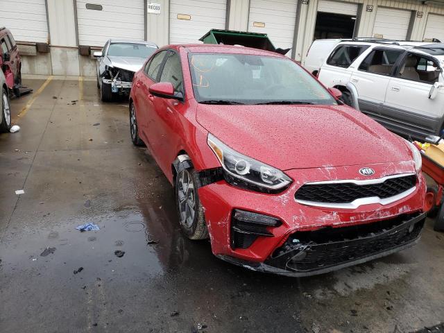 KIA FORTE FE 2019 3kpf24ad1ke049408