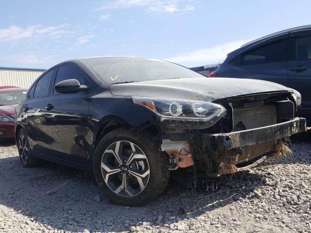 KIA FORTE FE 2019 3kpf24ad1ke052065