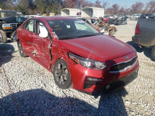 KIA FORTE FE 2019 3kpf24ad1ke059534